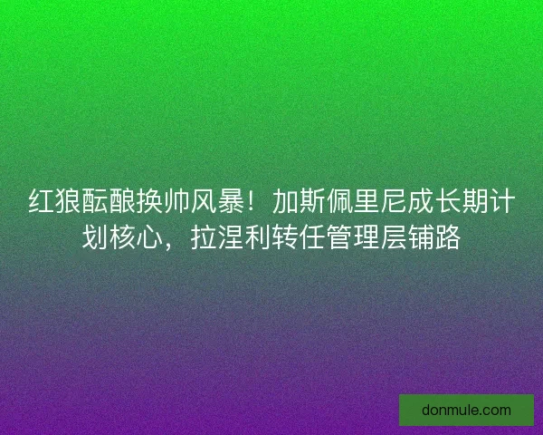 红狼酝酿换帅风暴！加斯佩里尼成长期计划核心，拉涅利转任管理层铺路